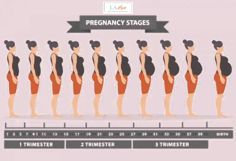 First Trimester (Weeks 1–12): Early Changes You Might Not Notice Dunstable